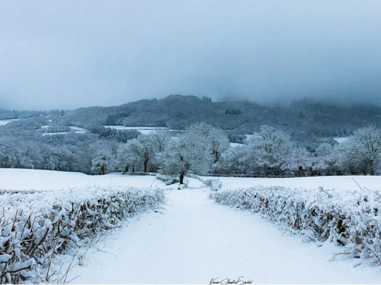 Week-end au Haut-Folin