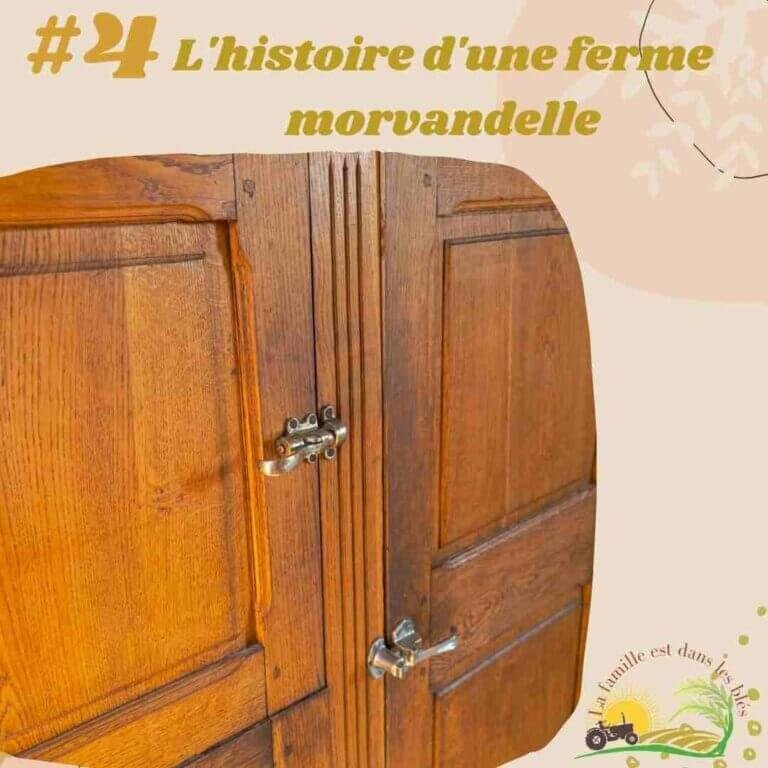 Ancienne armoire de boucherie de l'époque Louis Philippe